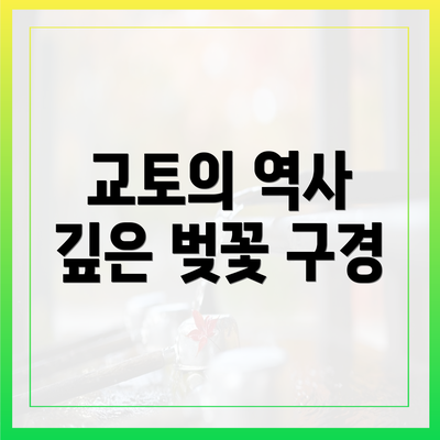 교토의 역사 깊은 벚꽃 구경