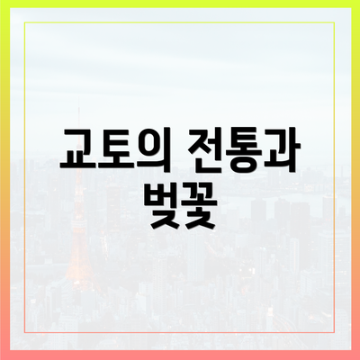 교토의 전통과 벚꽃