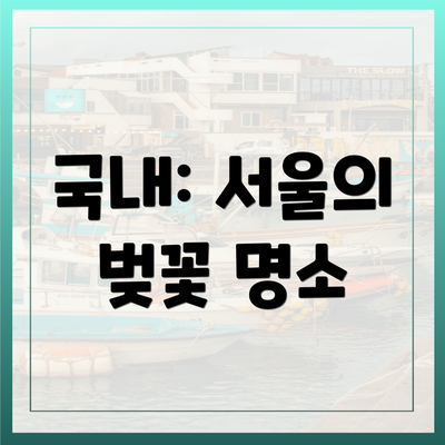 국내: 서울의 벚꽃 명소