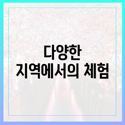 다양한 지역에서의 체험