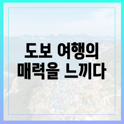 도보 여행의 매력을 느끼다