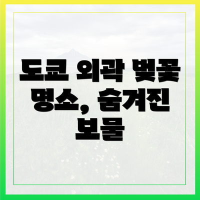 도쿄 외곽 벚꽃 명소, 숨겨진 보물