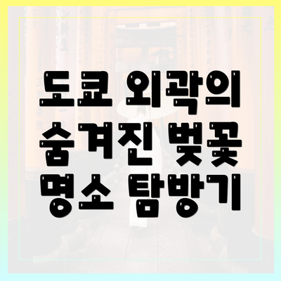 도쿄 외곽의 숨겨진 벚꽃 명소 탐방기