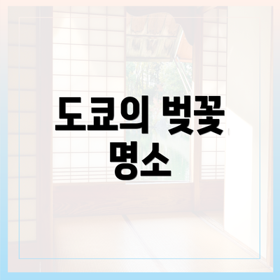도쿄의 벚꽃 명소