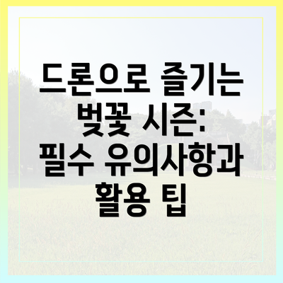 드론으로 즐기는 벚꽃 시즌: 필수 유의사항과 활용 팁