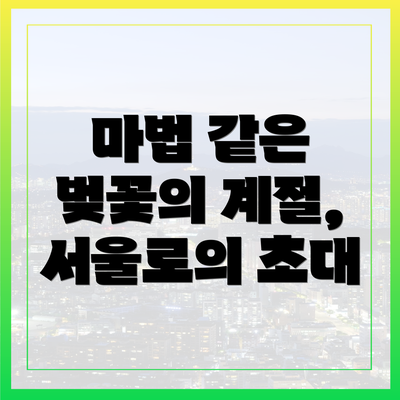 마법 같은 벚꽃의 계절, 서울로의 초대