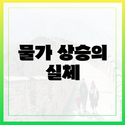 물가 상승의 실체