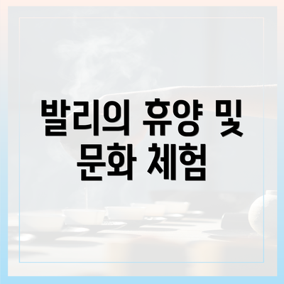 발리의 휴양 및 문화 체험
