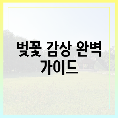 벚꽃 감상 완벽 가이드