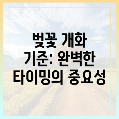 벚꽃 개화 기준: 완벽한 타이밍의 중요성