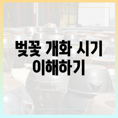 벚꽃 개화 시기 이해하기