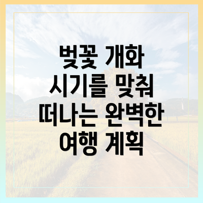 벚꽃 개화 시기를 맞춰 떠나는 완벽한 여행 계획