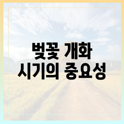 벚꽃 개화 시기의 중요성