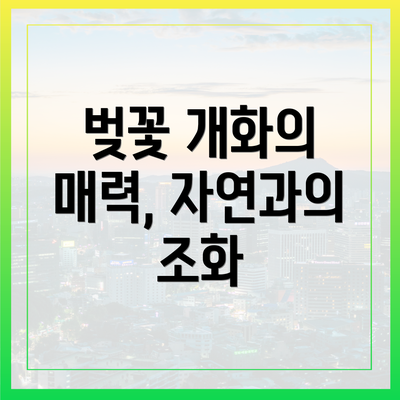 벚꽃 개화의 매력, 자연과의 조화
