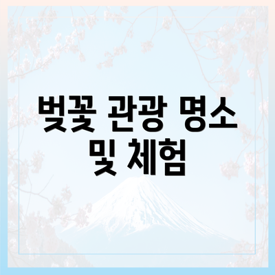 벚꽃 관광 명소 및 체험