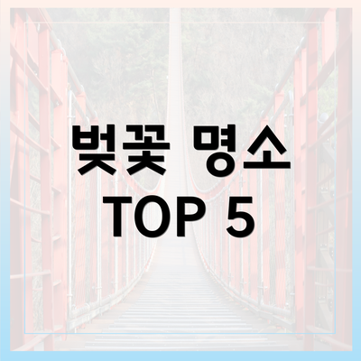 벚꽃 명소 TOP 5