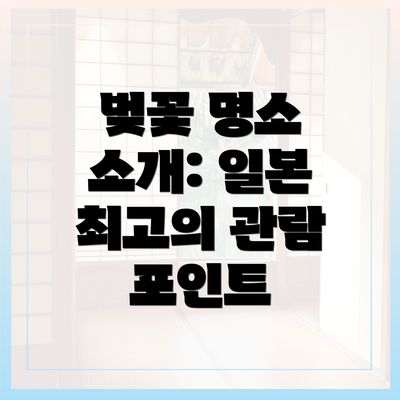 벚꽃 명소 소개: 일본 최고의 관람 포인트