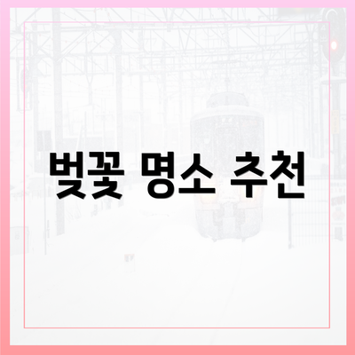 벚꽃 명소 추천