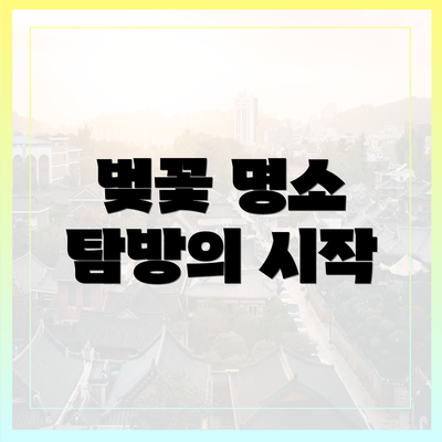 벚꽃 명소 탐방의 시작