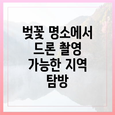 벚꽃 명소에서 드론 촬영 가능한 지역 탐방