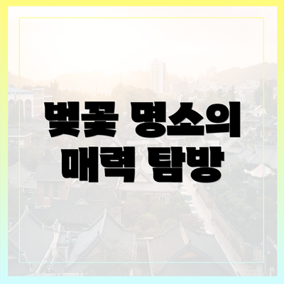 벚꽃 명소의 매력 탐방