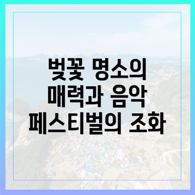 벚꽃 명소의 매력과 음악 페스티벌의 조화