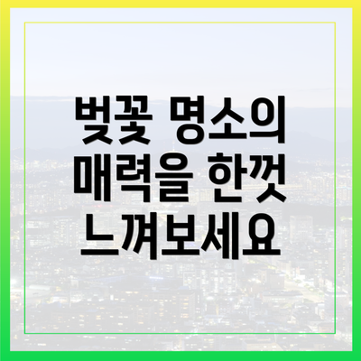 벚꽃 명소의 매력을 한껏 느껴보세요