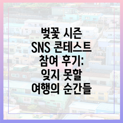 벚꽃 시즌 SNS 콘테스트 참여 후기: 잊지 못할 여행의 순간들