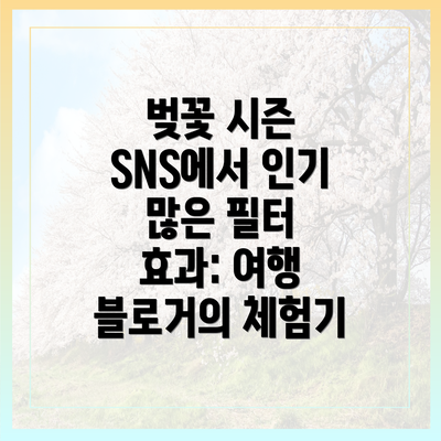 벚꽃 시즌 SNS에서 인기 많은 필터 효과: 여행 블로거의 체험기