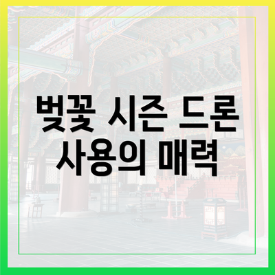 벚꽃 시즌 드론 사용의 매력