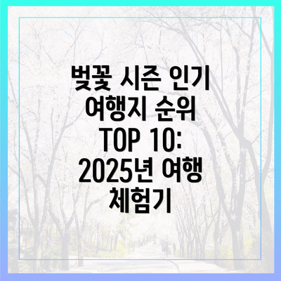 벚꽃 시즌 인기 여행지 순위 TOP 10: 2025년 여행 체험기
