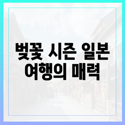 벚꽃 시즌 일본 여행의 매력