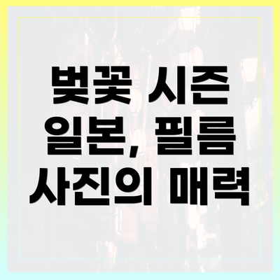 벚꽃 시즌 일본, 필름 사진의 매력