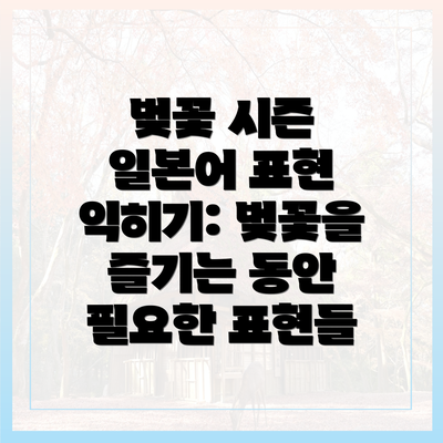 벚꽃 시즌 일본어 표현 익히기: 벚꽃을 즐기는 동안 필요한 표현들