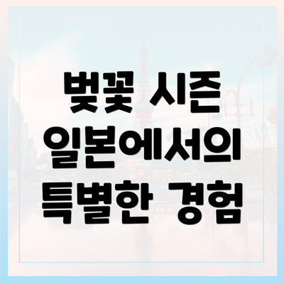 벚꽃 시즌 일본에서의 특별한 경험