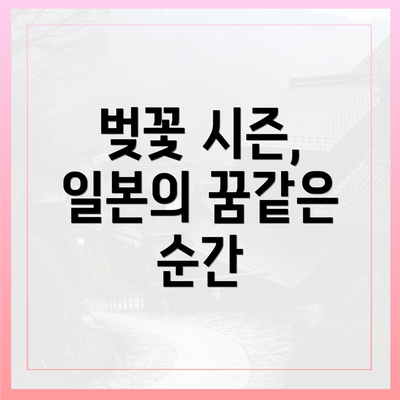벚꽃 시즌, 일본의 꿈같은 순간