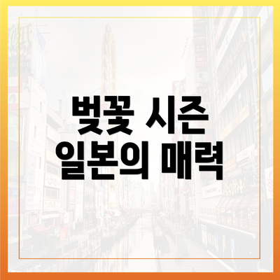 벚꽃 시즌 일본의 매력