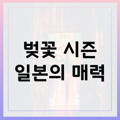 벚꽃 시즌 일본의 매력