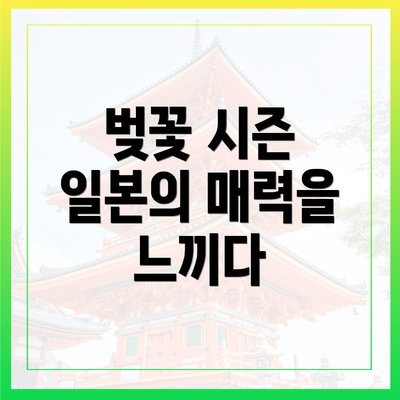 벚꽃 시즌 일본의 매력을 느끼다