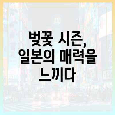 벚꽃 시즌, 일본의 매력을 느끼다