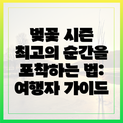 벚꽃 시즌 최고의 순간을 포착하는 법: 여행자 가이드