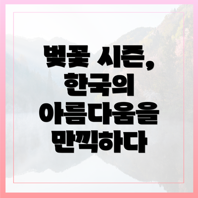 벚꽃 시즌, 한국의 아름다움을 만끽하다