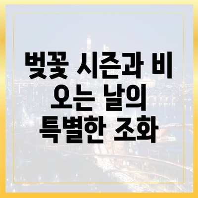 벚꽃 시즌과 비 오는 날의 특별한 조화