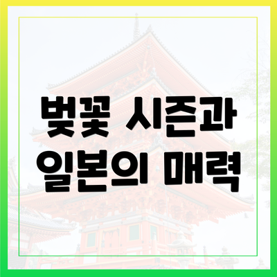 벚꽃 시즌과 일본의 매력