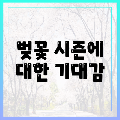 벚꽃 시즌에 대한 기대감