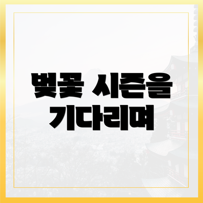 벚꽃 시즌을 기다리며