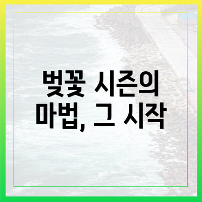 벚꽃 시즌의 마법, 그 시작