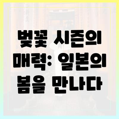 벚꽃 시즌의 매력: 일본의 봄을 만나다