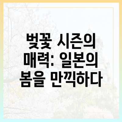 벚꽃 시즌의 매력: 일본의 봄을 만끽하다