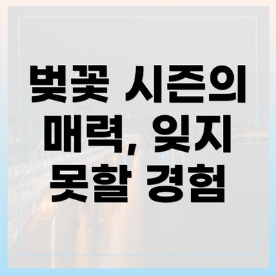 벚꽃 시즌의 매력, 잊지 못할 경험